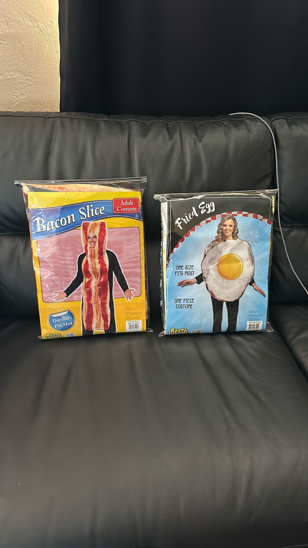 Bacon and Egg Halloween Costume