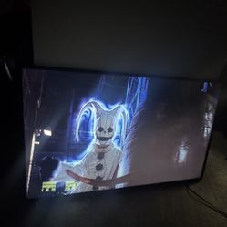 Smart 55 inch Sony Flat Screen TV