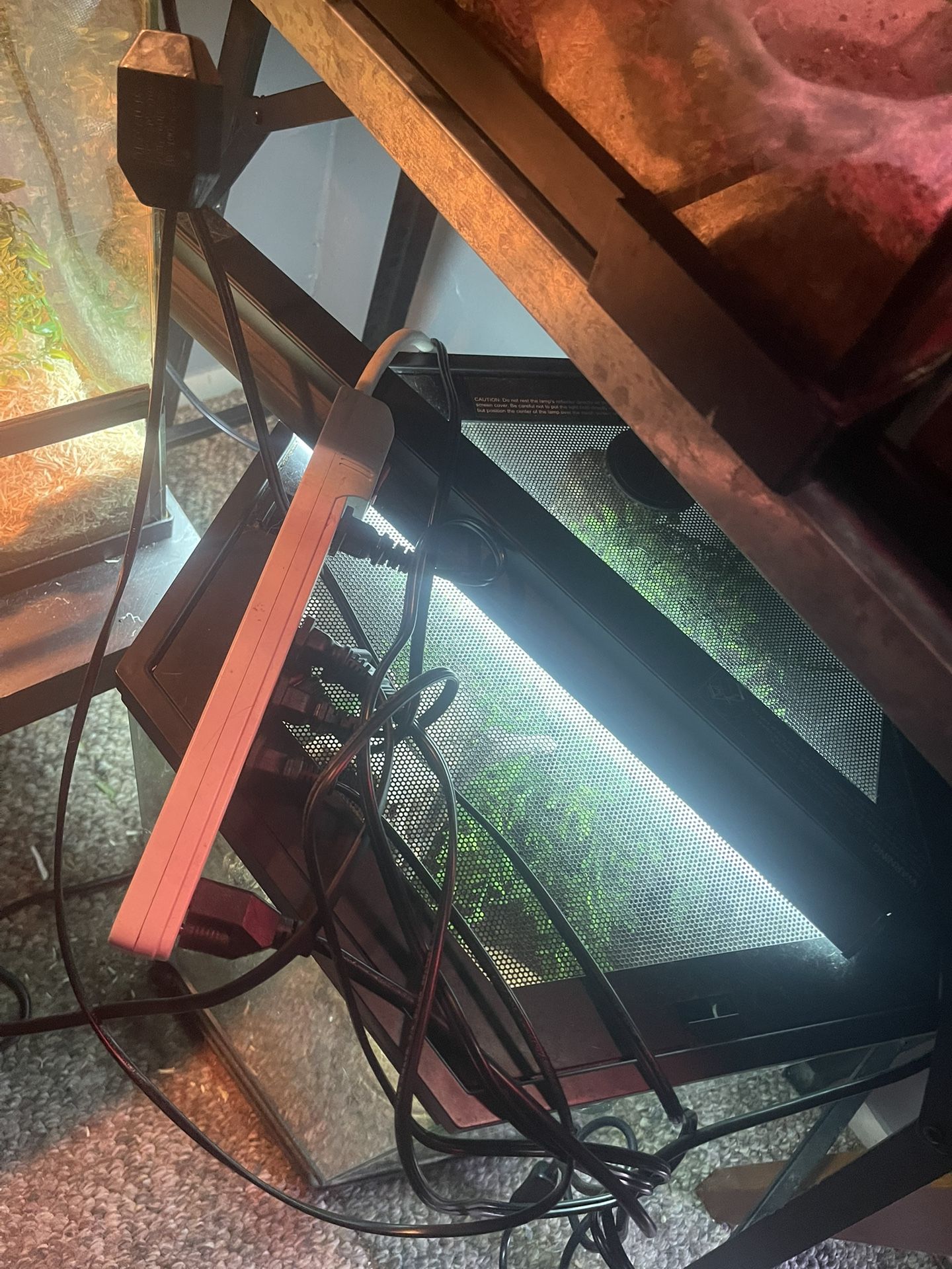 Long Reptile Lamp