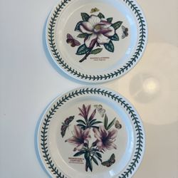 Two Portmeirion Botanic Garden 10.5 inch Dinner Plates