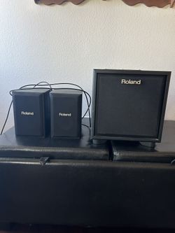 Roland CM 110 Cube 2.1 Monitor System