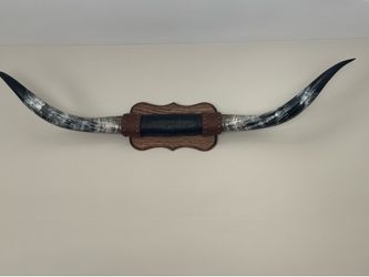 Wall-mounted Texas Longhorn steer horn set,