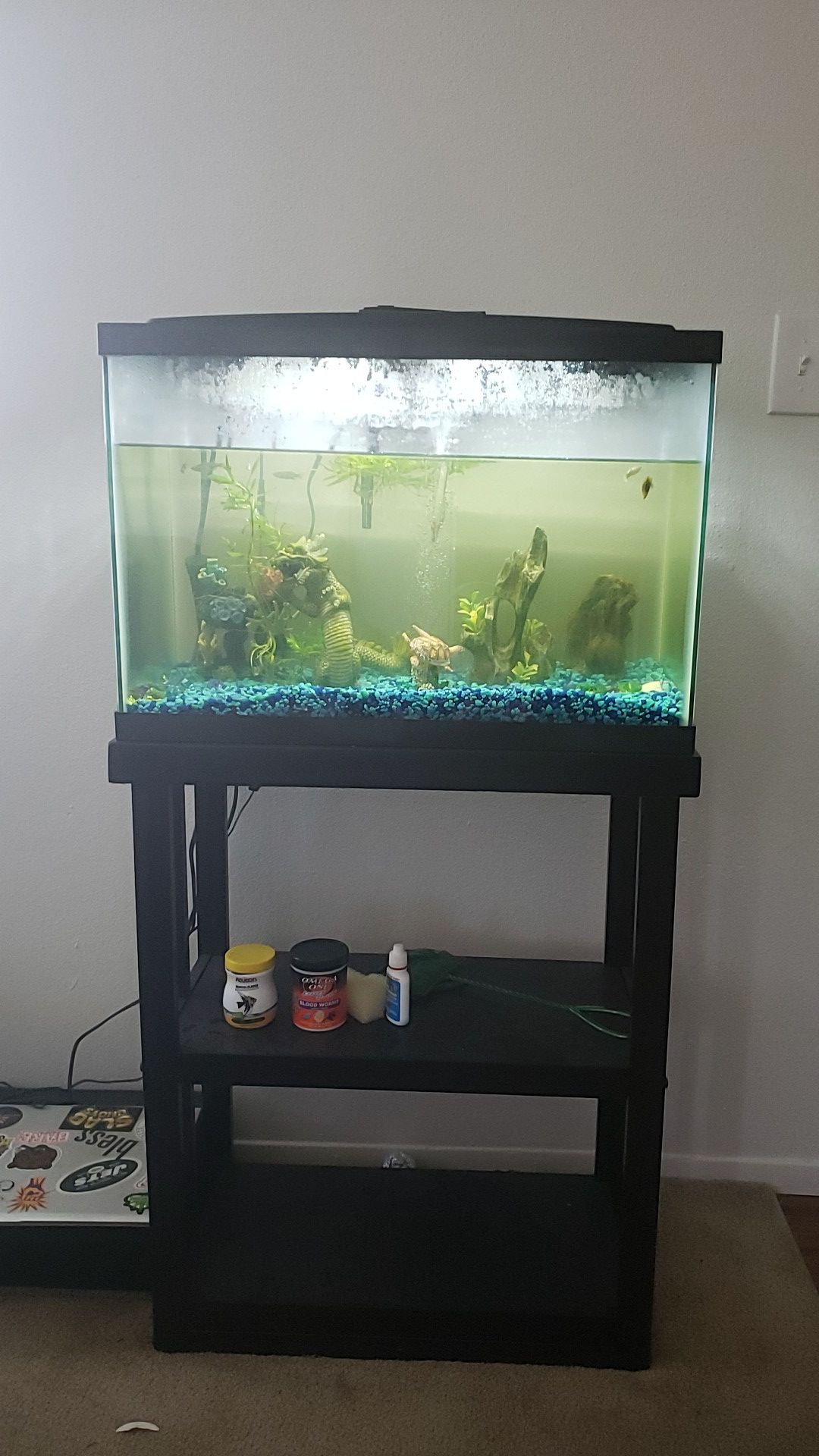 Fish Tank with stand, fishes, decorations and equipment
