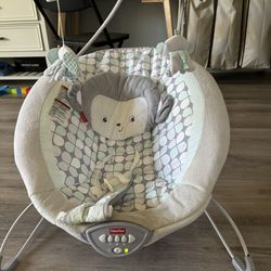 Fisher-Price Infant Swing