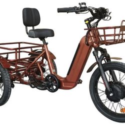 Tricycle 3 Wheel E-bike 20 Inch Fat Tire 48V 500w