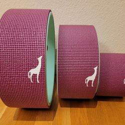 Plexus Wheel Set 