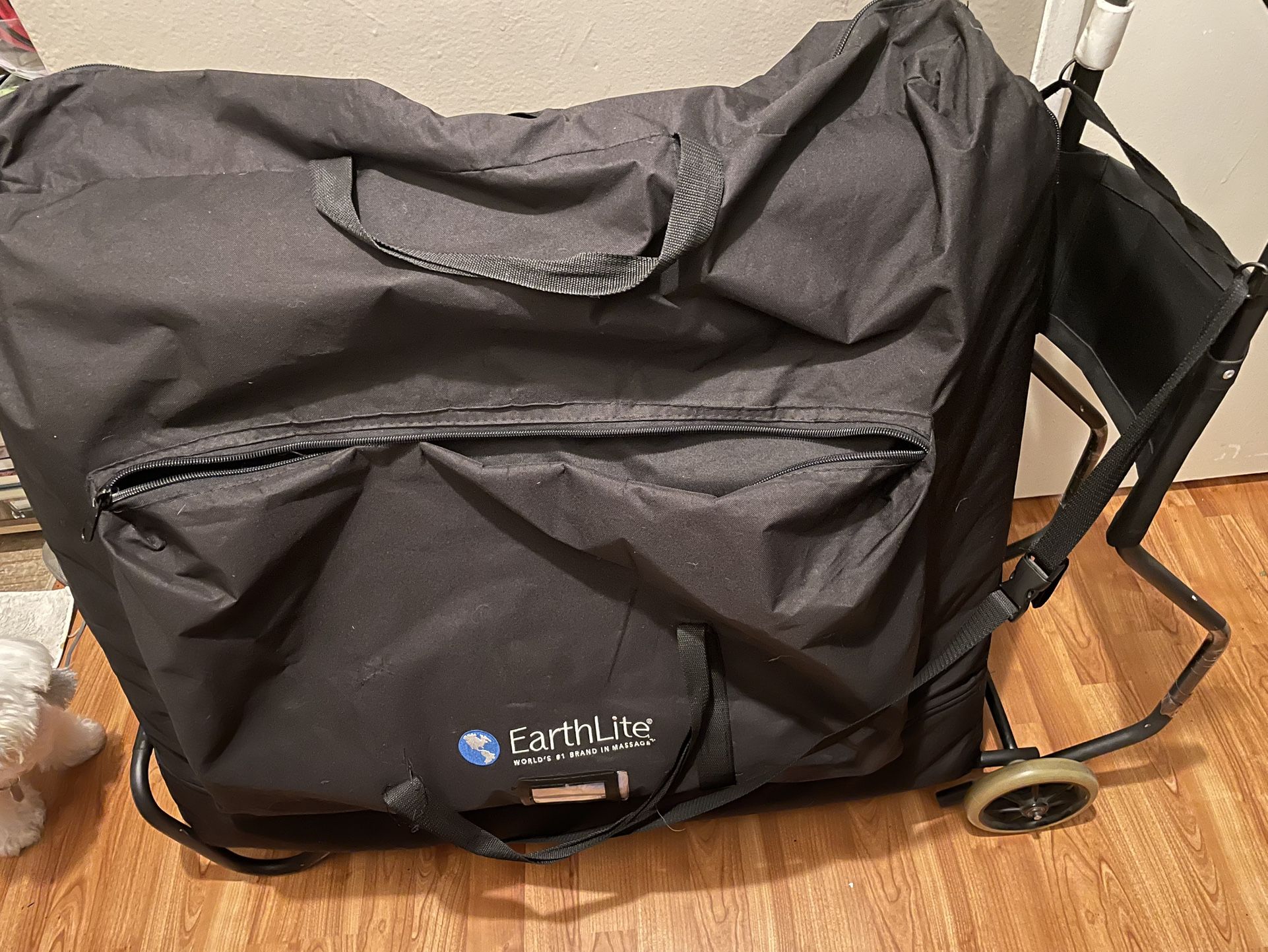 Massage Table And Cart