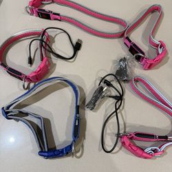Light Up Dog Collar