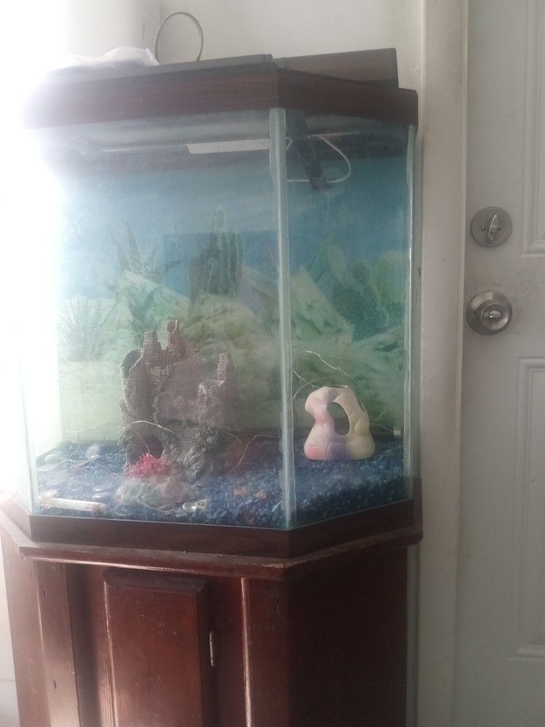 Fishtank 30gal