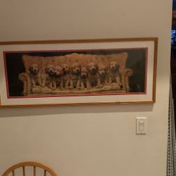 Framed Photo Of 9 Golden Retriever Puppies