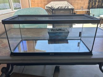 60 gallon zoo med terrarium