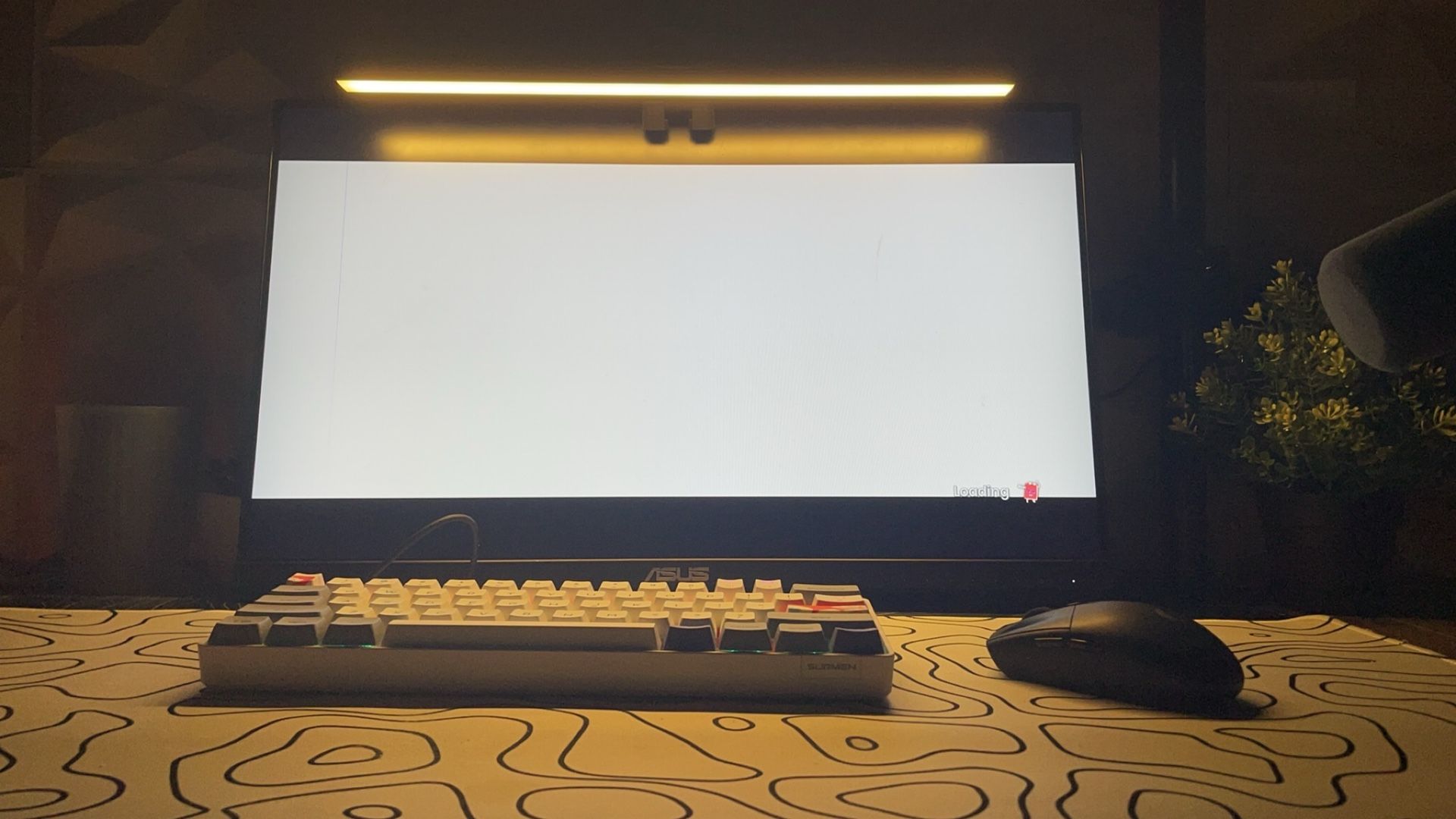 60 Hz Asus Monitor
