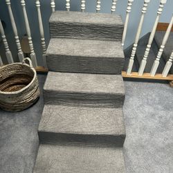 Small Dog Or Cat Steps