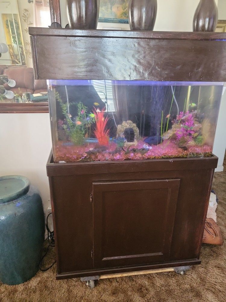Fish Tank With Everything In It