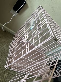 Dog Cage 