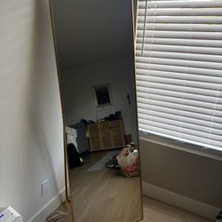 Gold Stand Up Mirror 65” X 22”