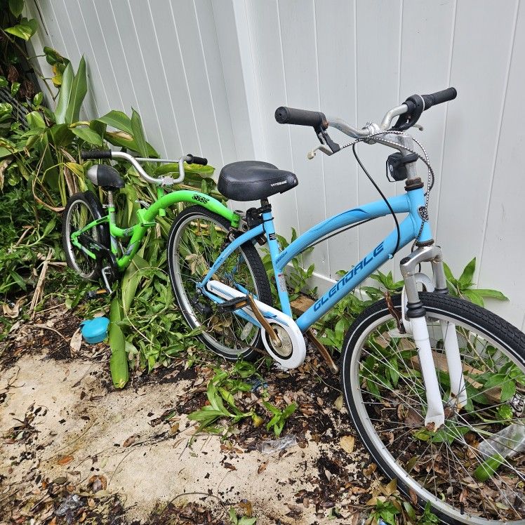 Dual Person Bike