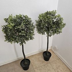 Fake Plants Set Of Two Size 36 Inch Tall $50 For Both 