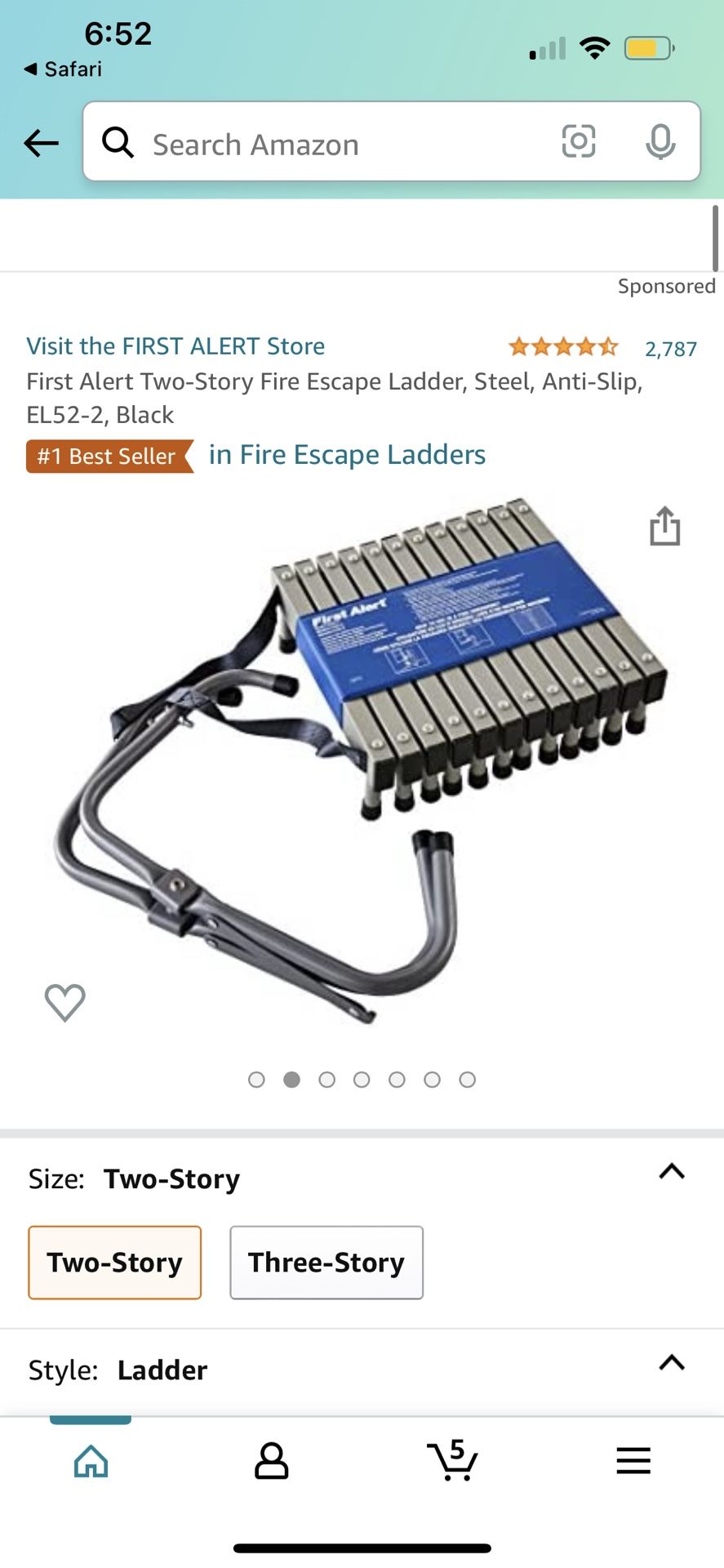 Emergency Ladder