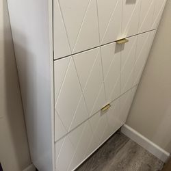 Skinny Shoe cabinet for entry PICK UP ONLY