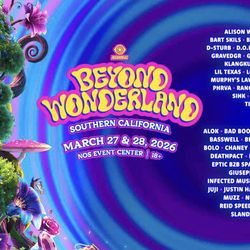 Beyond wonderland VIP