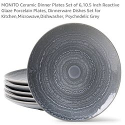 6 Ceramic Dinner Plates New