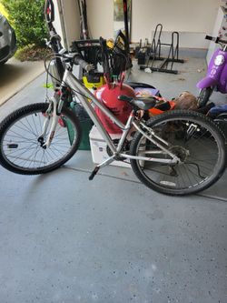 Giant Escape 100, Trek Skye 100