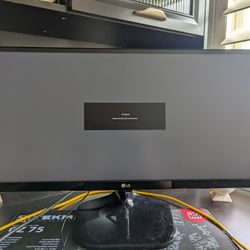 LG Ultrawide Monitor 