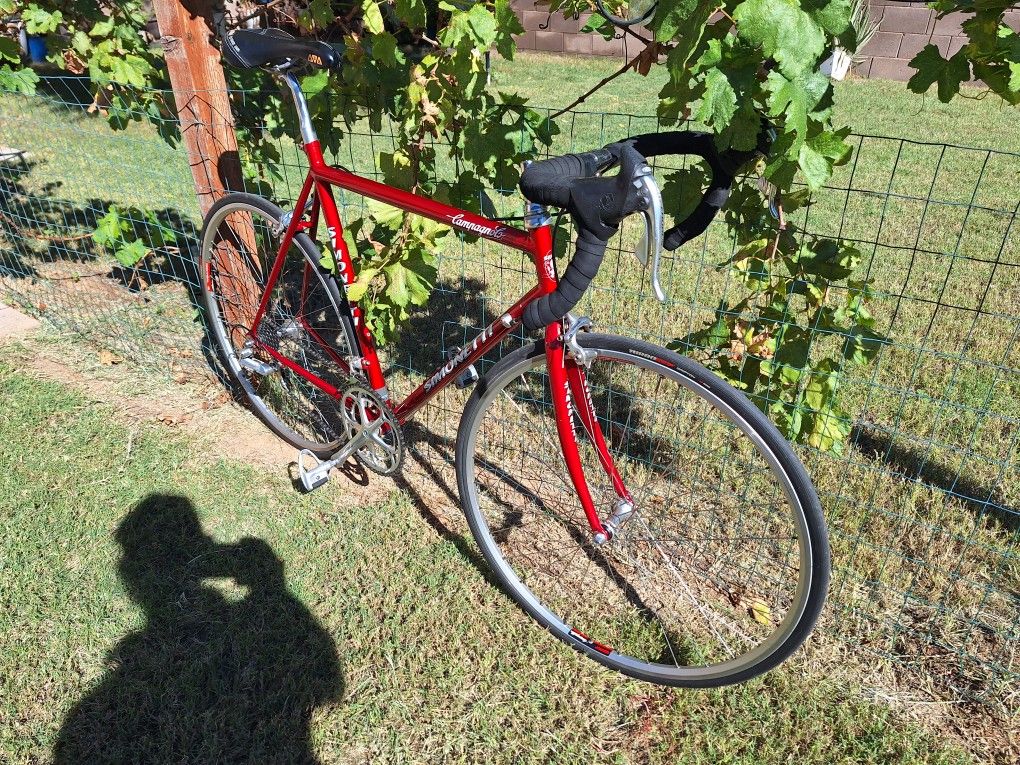 Simonetti Campagnolo Road bike, 57-58cm M/L