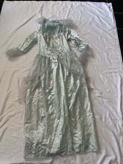 Cinderella Costume