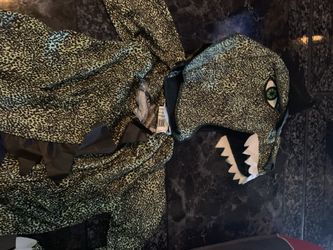 Dinosaur costume