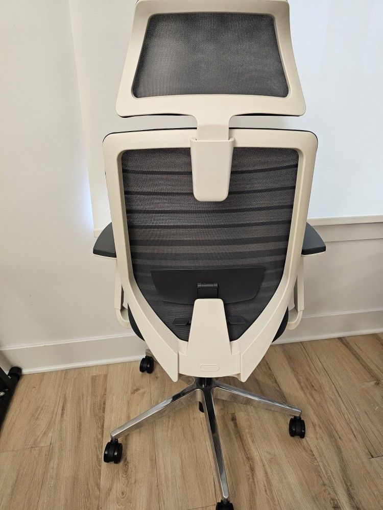 Branch Ergonomic Office Chair with Headrest and Lumbar Support