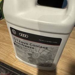 Audi Coolant
