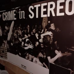 12 Punk Rock Bands Posters  12"x18"                                       A