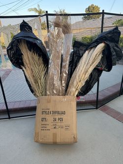 Dried Pampas Grass
