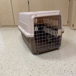 Dog & Cat Kennel 