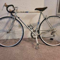 Schwinn premis 1988 hotsell