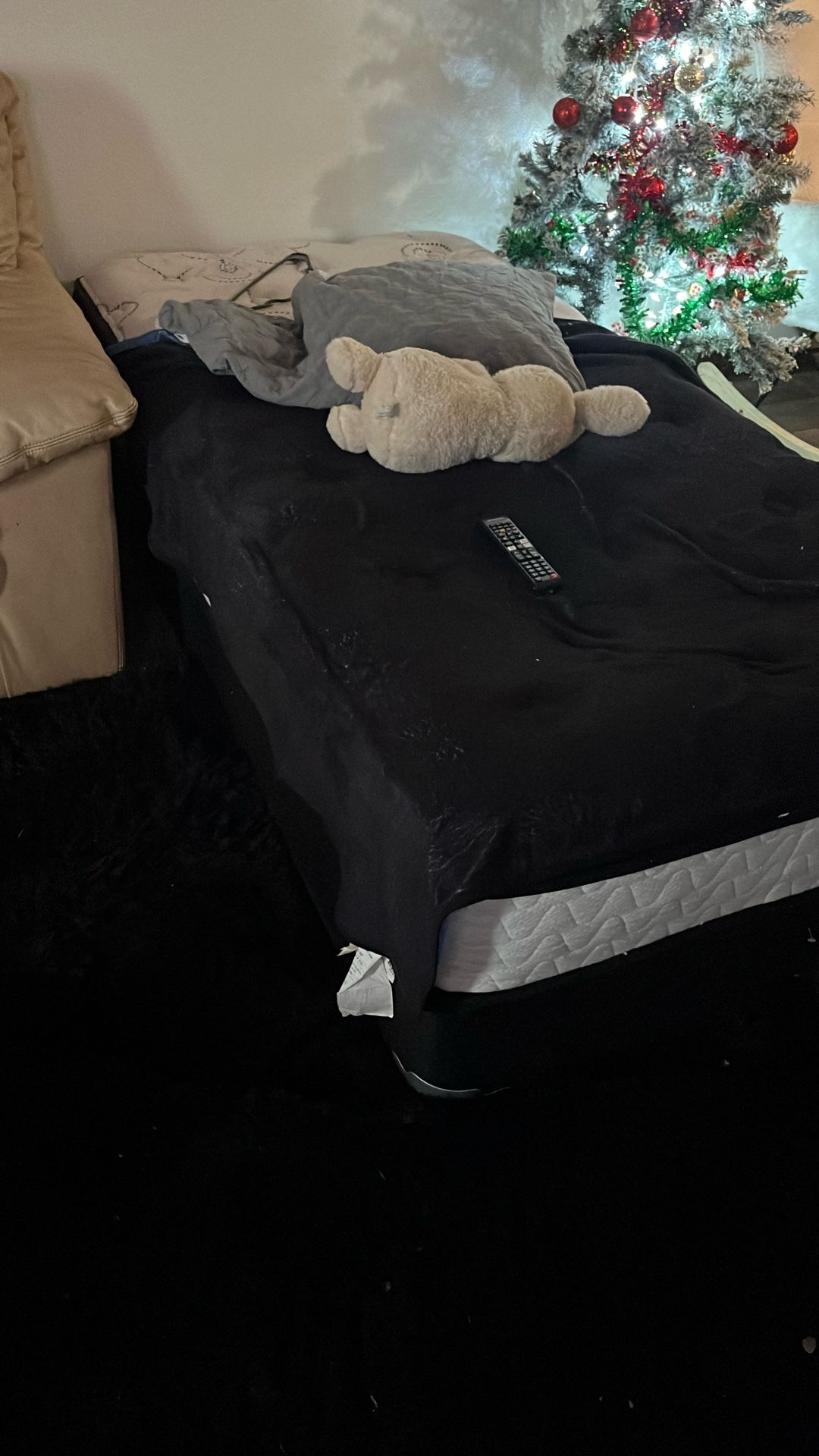 Twin Bed And Box Spring Comfy Sm$50