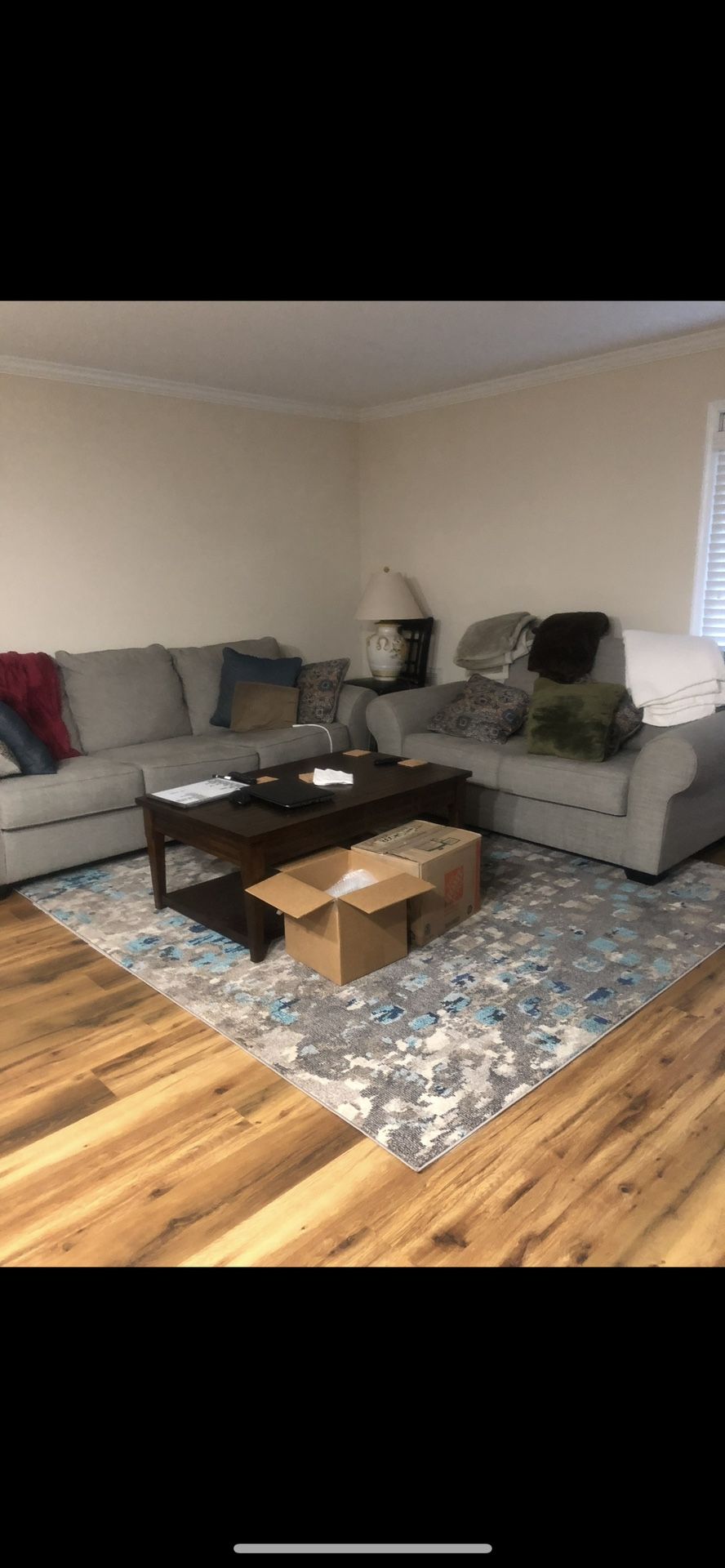 Pull Out Sofa And Loveseat