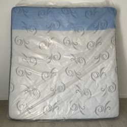 King Cama 🥰🤩🥳🎉😘