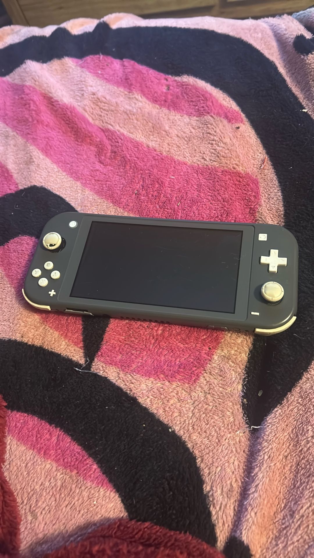 nintendo switch light