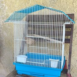 Bird Cage 