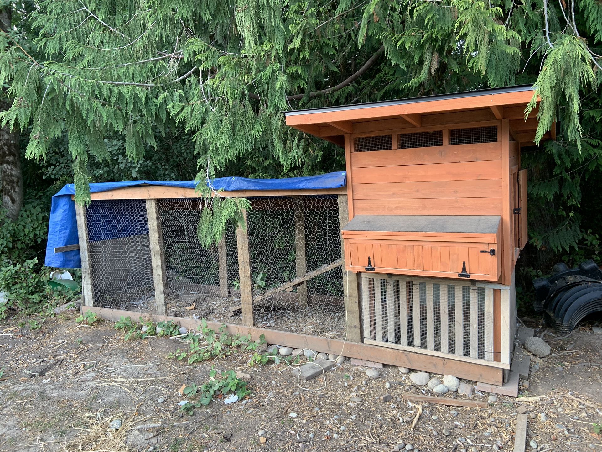 Chicken Coop! Cedar And 4x4 Lumber! Super Sturdy! for Sale in Olympia