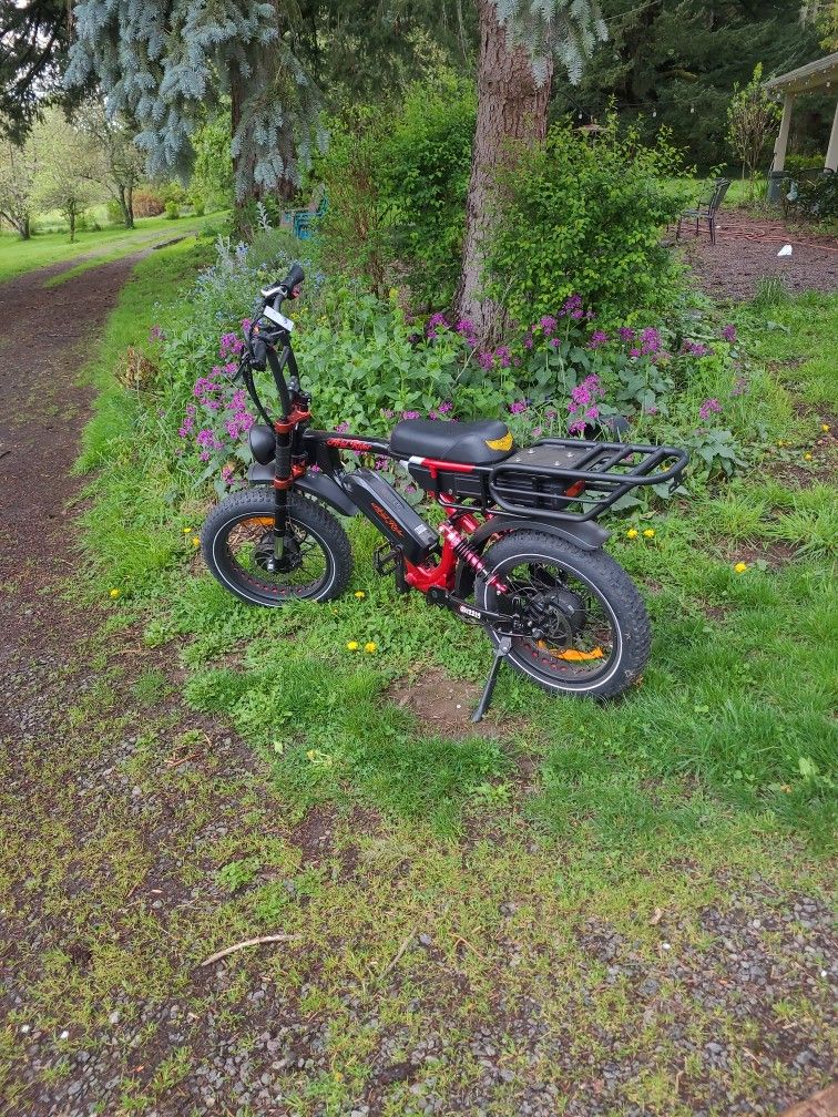 Aerial Rider Grizzly Electric Bike