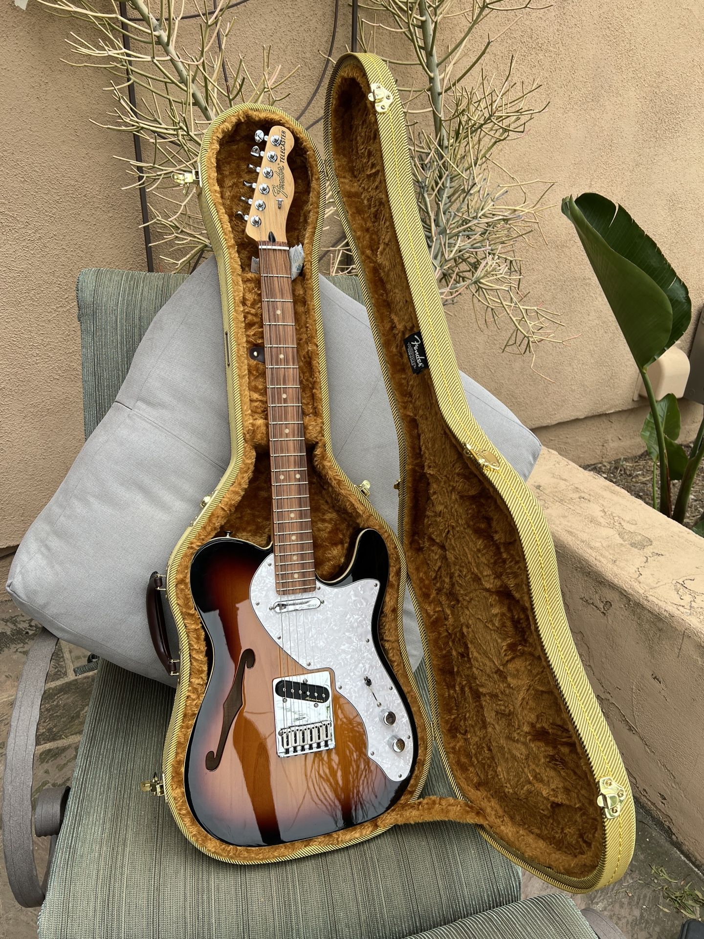 Fender Deluxe Telecaster Thinline