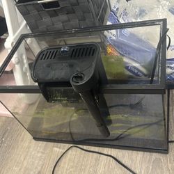5 gallon top fin tank