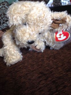 Fourth to fifth generation "TAFFY" pillow pal beanie baby