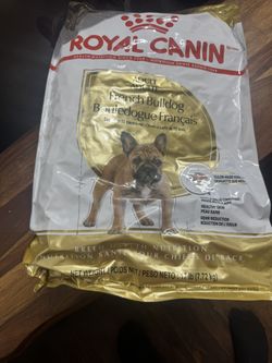 Royal Caine French Bulldogs