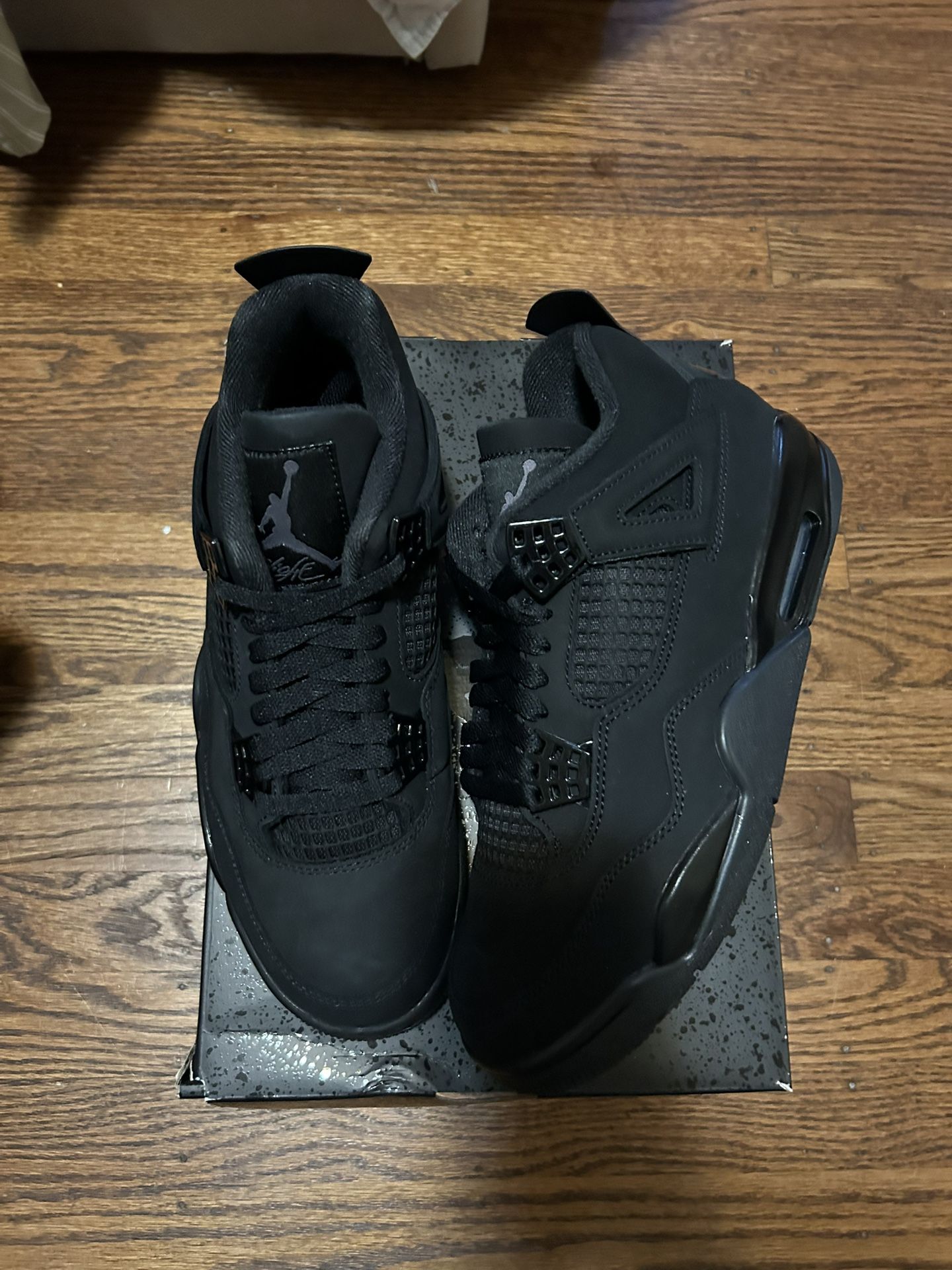 Air Jordan Black Cat 4