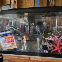 Fish Tank With Accessories 